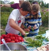 school garden kids