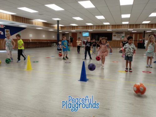 PE and Recess Equipment (Full Package) - Image 10