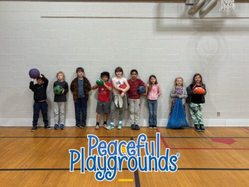 Replacement Playground Equipment - Image 5