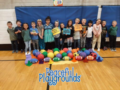 PE and Recess Equipment (Full Package) - Image 11